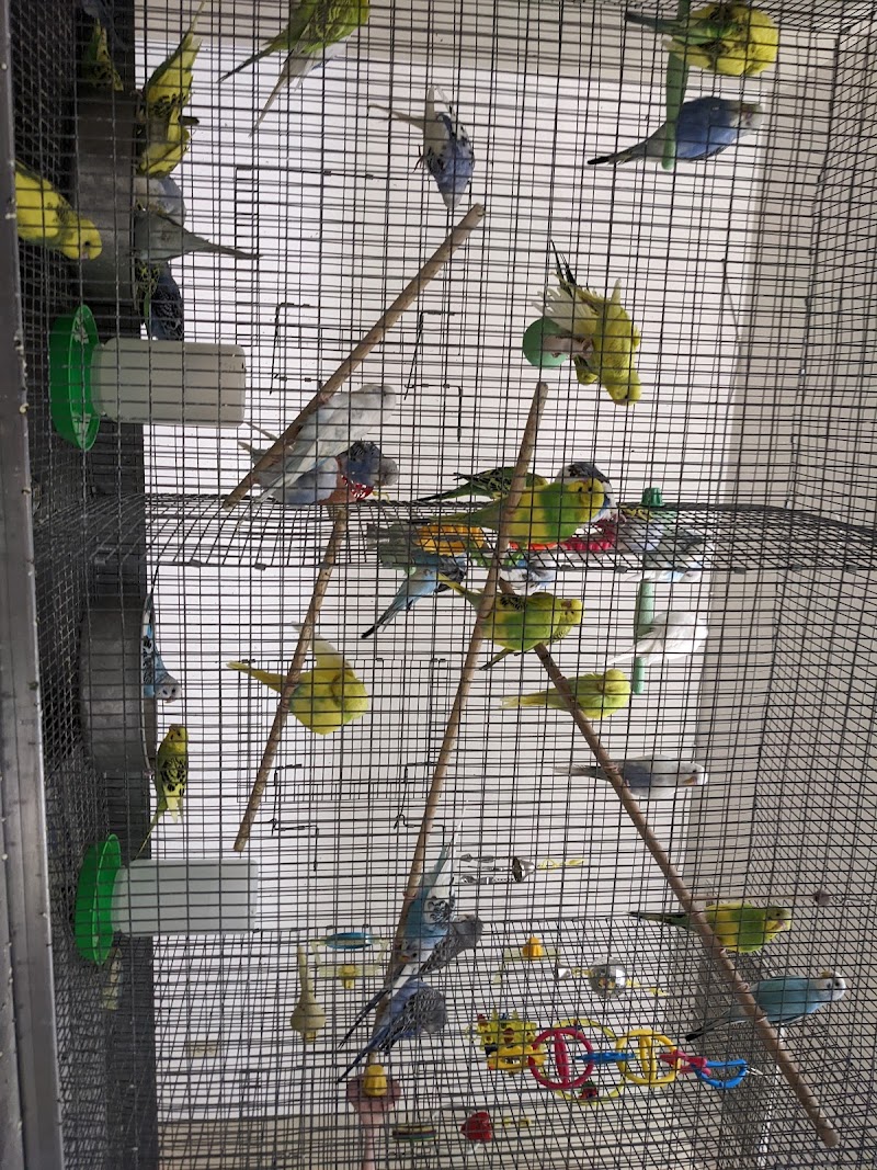 Northwest Seed & Pet - Photo 5