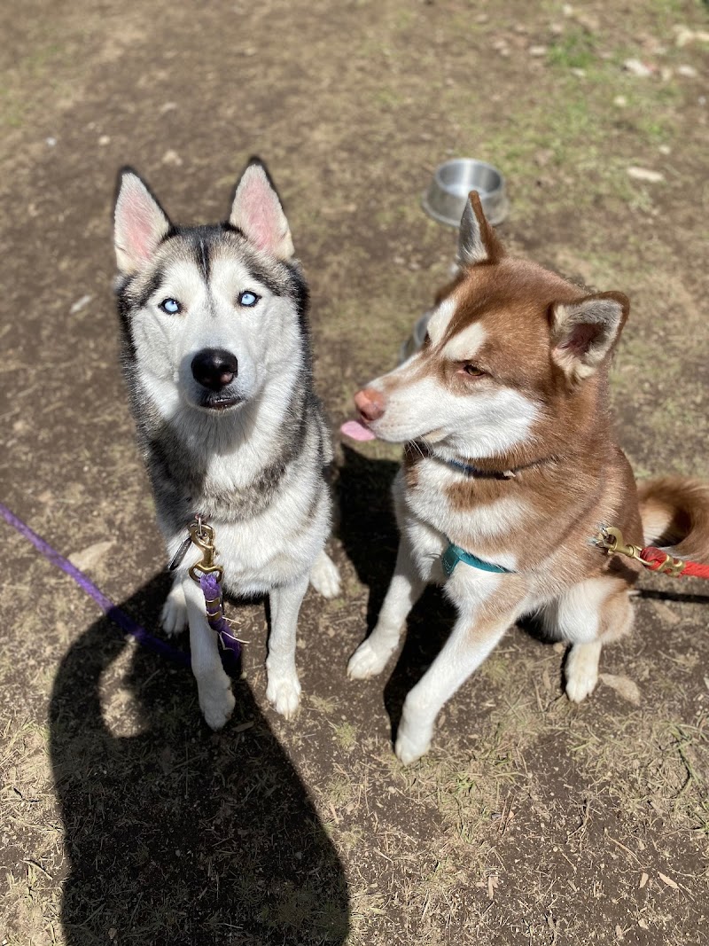 CDA Pet Market - Photo 3