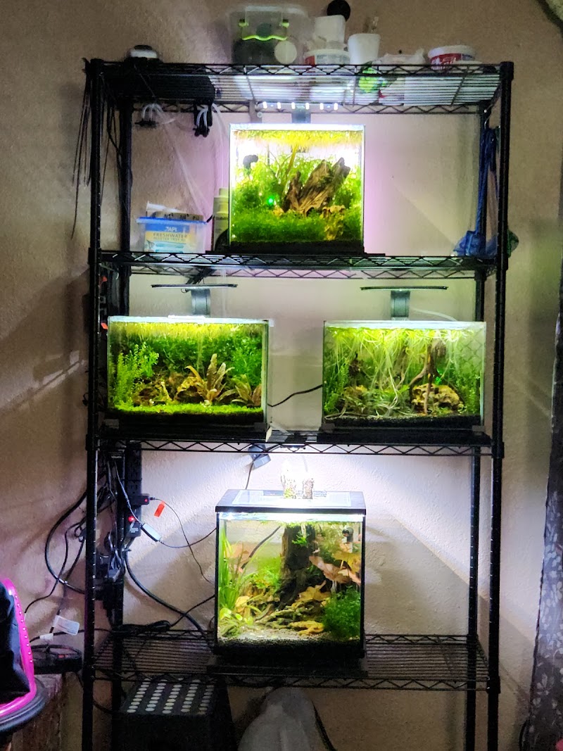 The Liquid Zoo - Photo 2