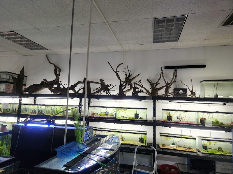 The Liquid Zoo - Photo 5