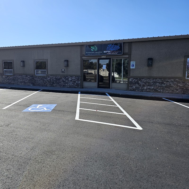 EPIC Corals - Photo 1