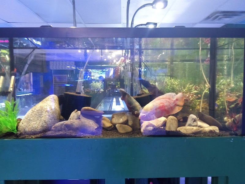 EPIC Corals - Photo 2