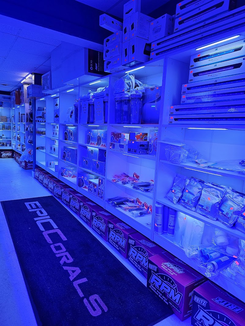 EPIC Corals - Photo 3