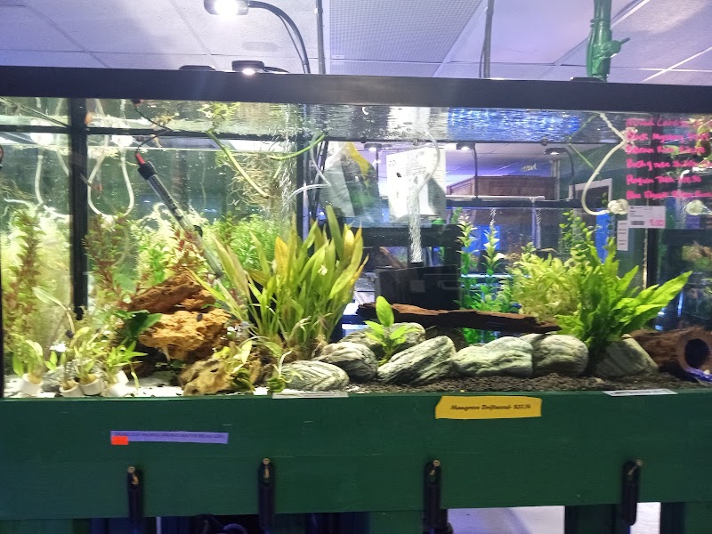 EPIC Corals - Photo 5