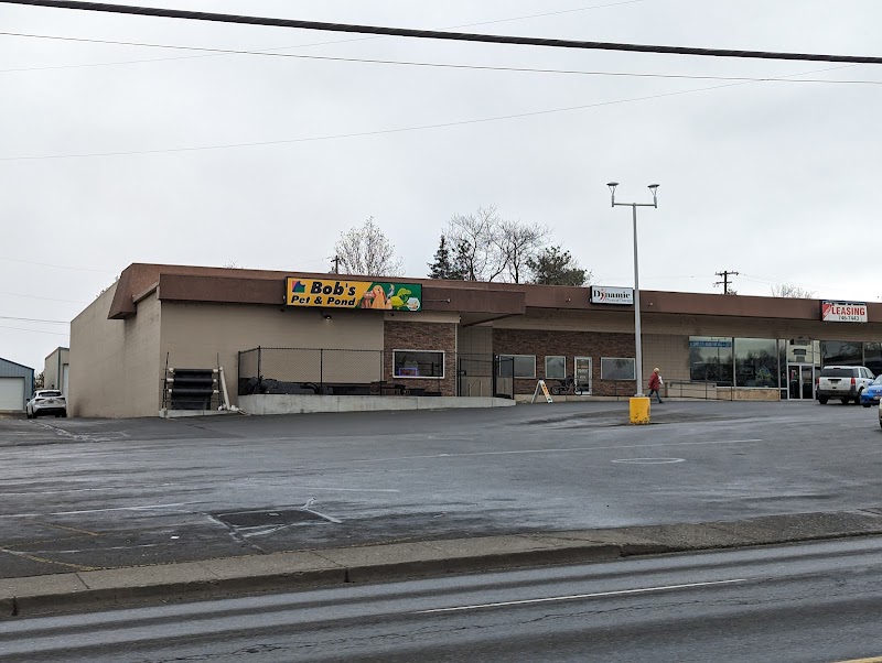 Bob's Pet and Pond - Photo 1