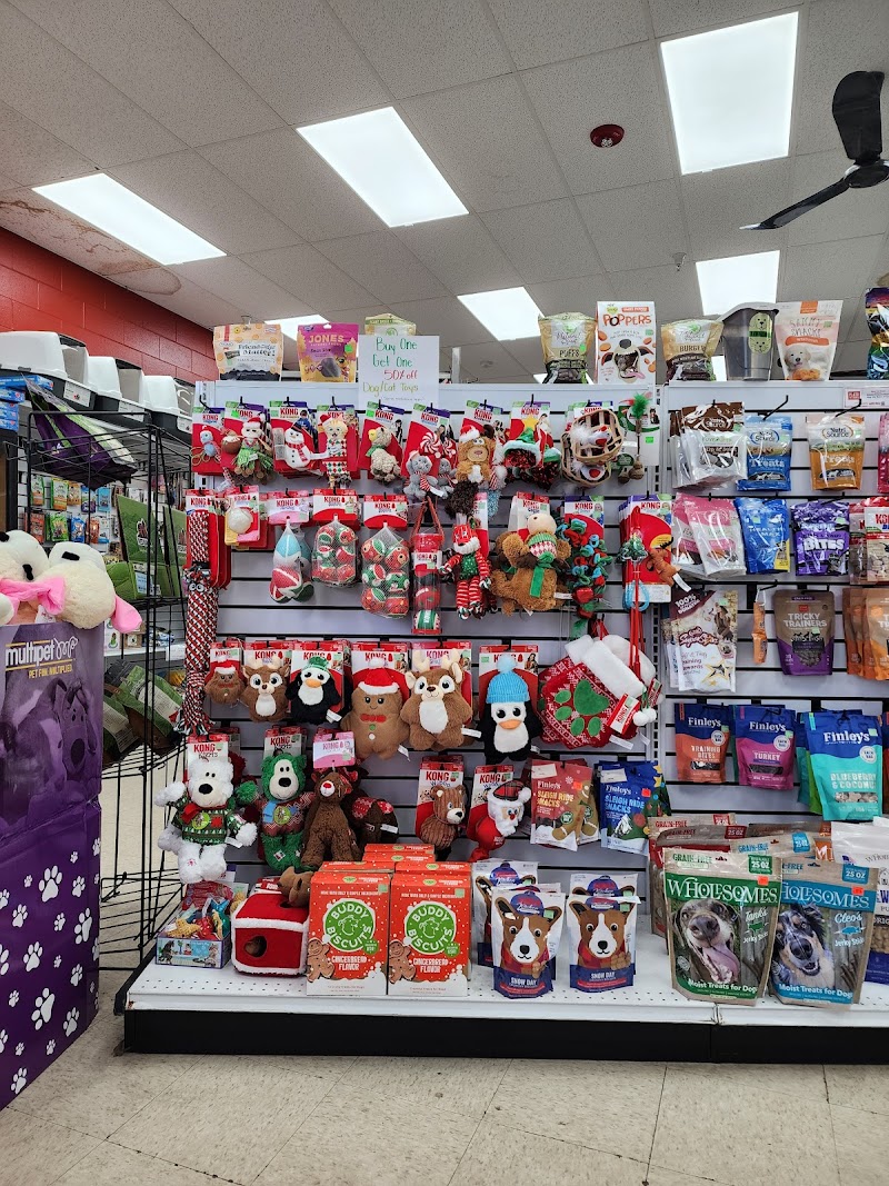 Bob's Pet and Pond - Photo 2