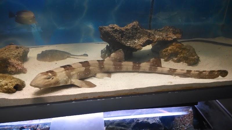 Bob's Pet and Pond - Photo 3