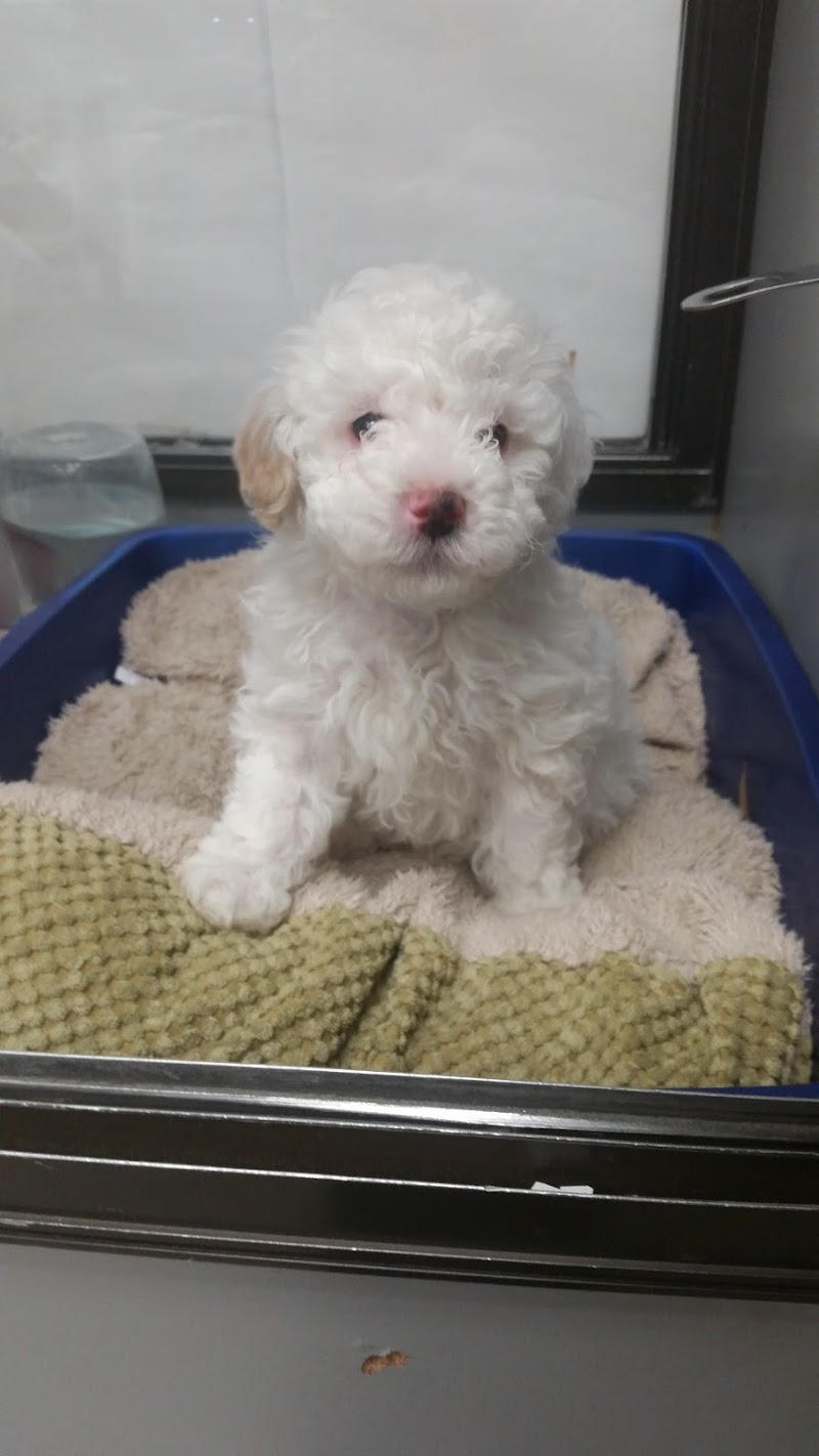 Bob's Pet and Pond - Photo 4