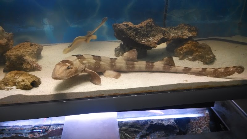 Bob's Pet and Pond - Photo 5