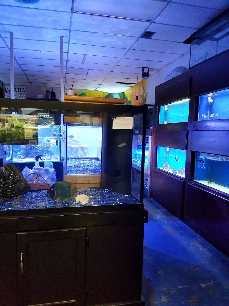 Aquarium Shoppe - Photo 2