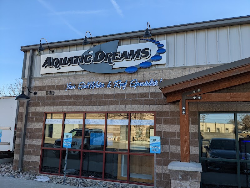 Aquatic Dreams & Funky Monkey Coral - Photo 1