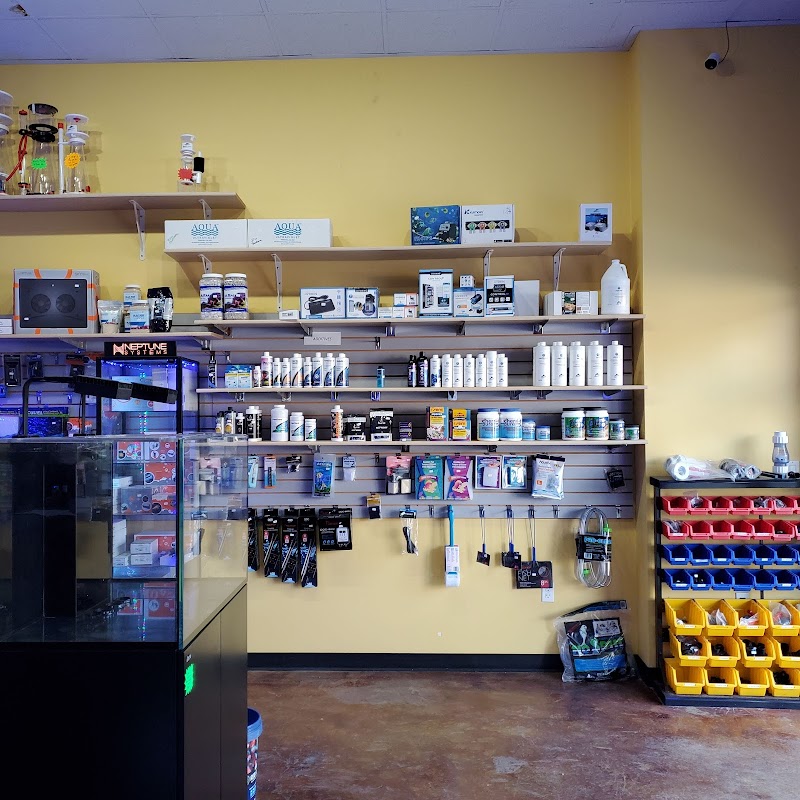 Aquatic Dreams & Funky Monkey Coral - Photo 3