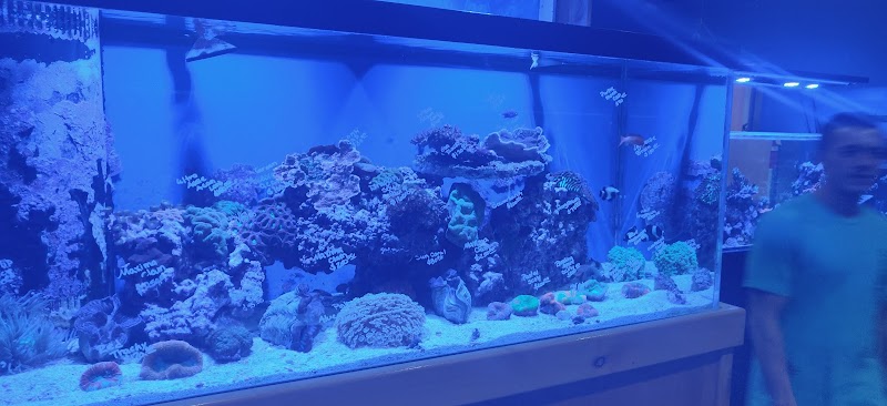 Aquatic Dreams & Funky Monkey Coral - Photo 5