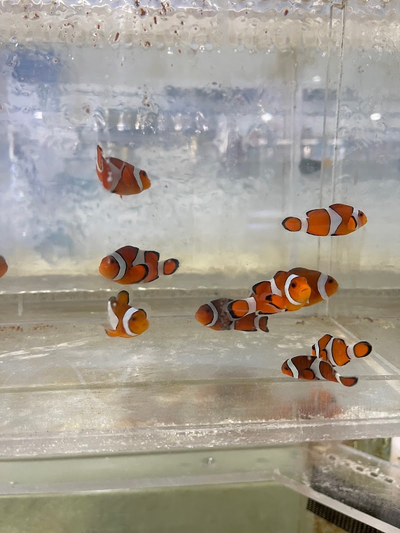 650 Oceans Reef Inc - Photo 3