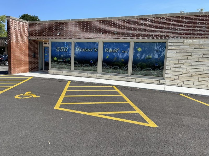 650 Oceans Reef Inc - Photo 5