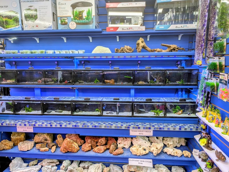 Fish Planet - Photo 2