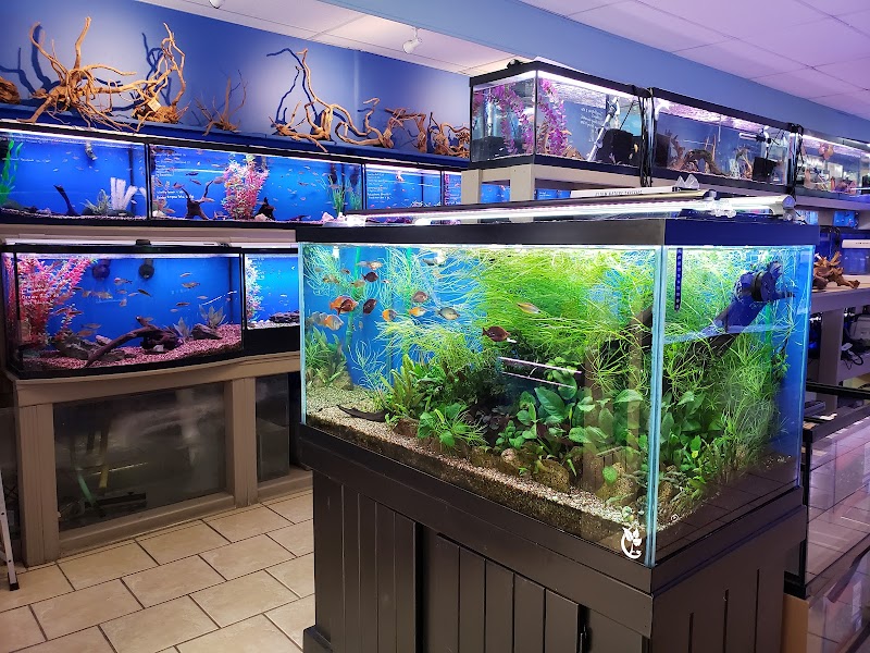 Fish Planet - Photo 5