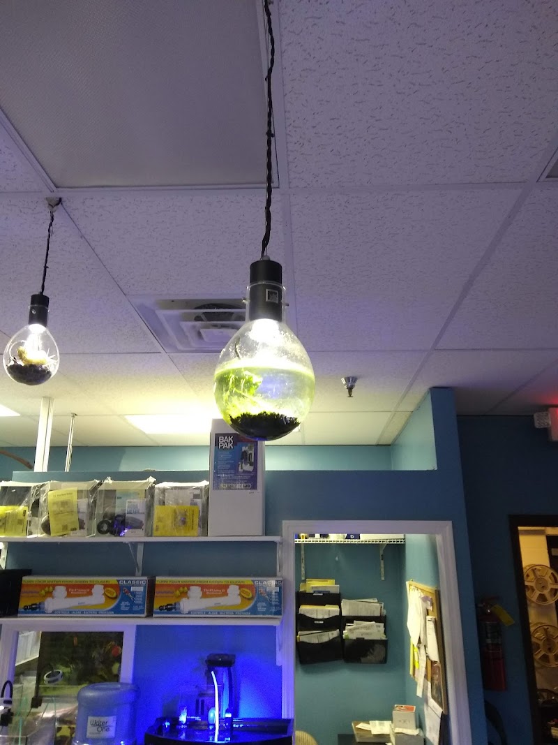 Beyond the Reef - Photo 1