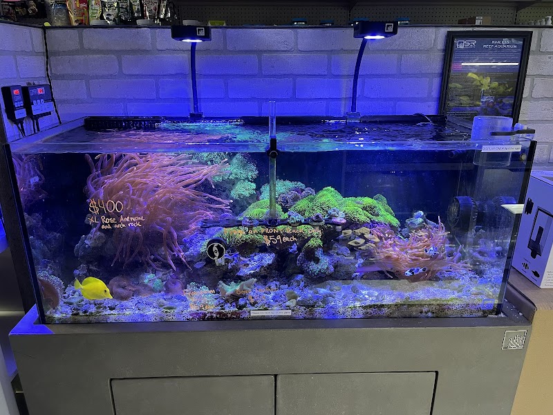 Beyond the Reef - Photo 2