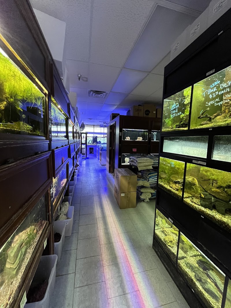 Beyond the Reef - Photo 3