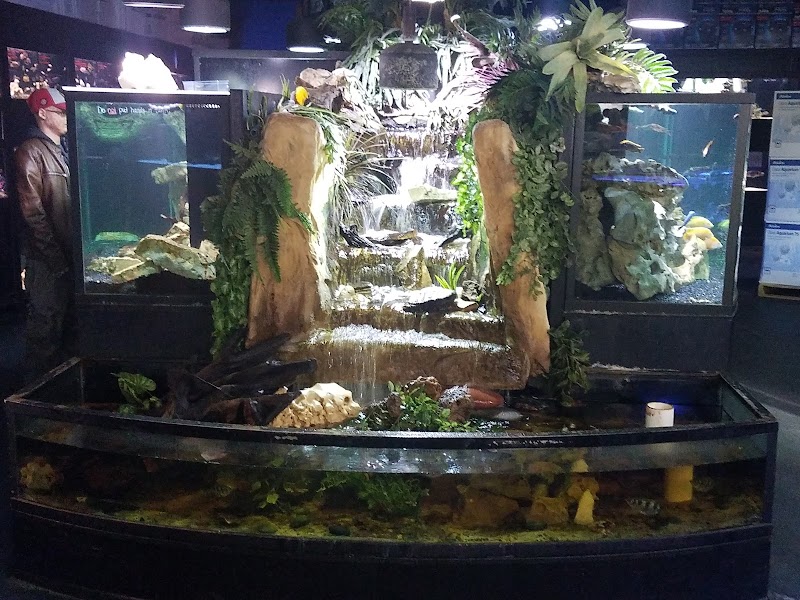 Aquarium Adventure - Photo 3