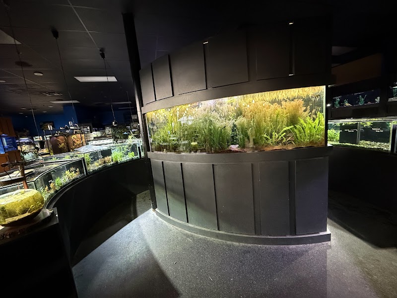 Aquarium Adventure - Photo 5