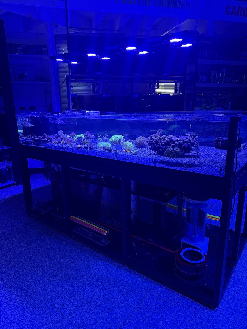 Marine Concepts Inc. - Photo 2