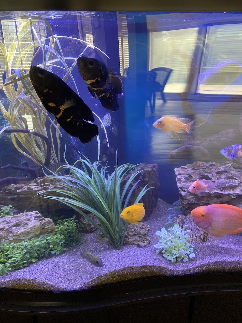 Marine Concepts Inc. - Photo 4