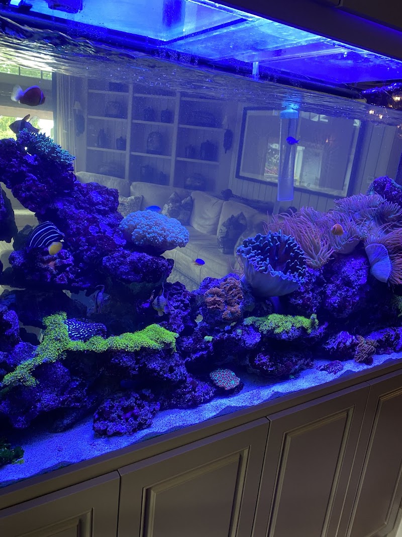 Marine Concepts Inc. - Photo 5