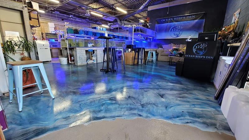 Ocean Reef's Den (ORD) Aquatics - Photo 2