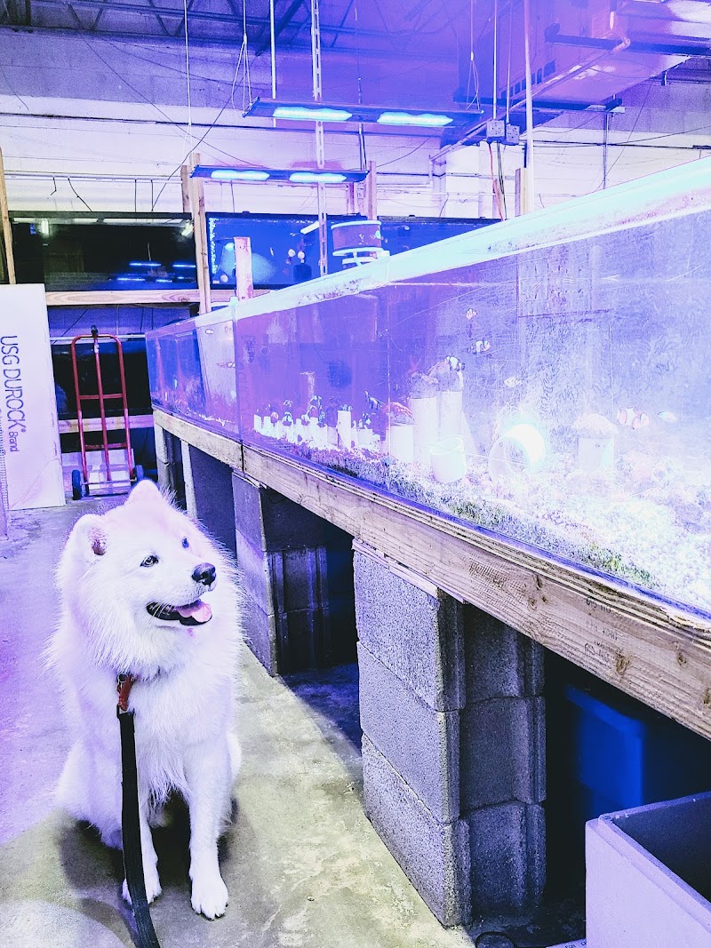 Ocean Reef's Den (ORD) Aquatics - Photo 4