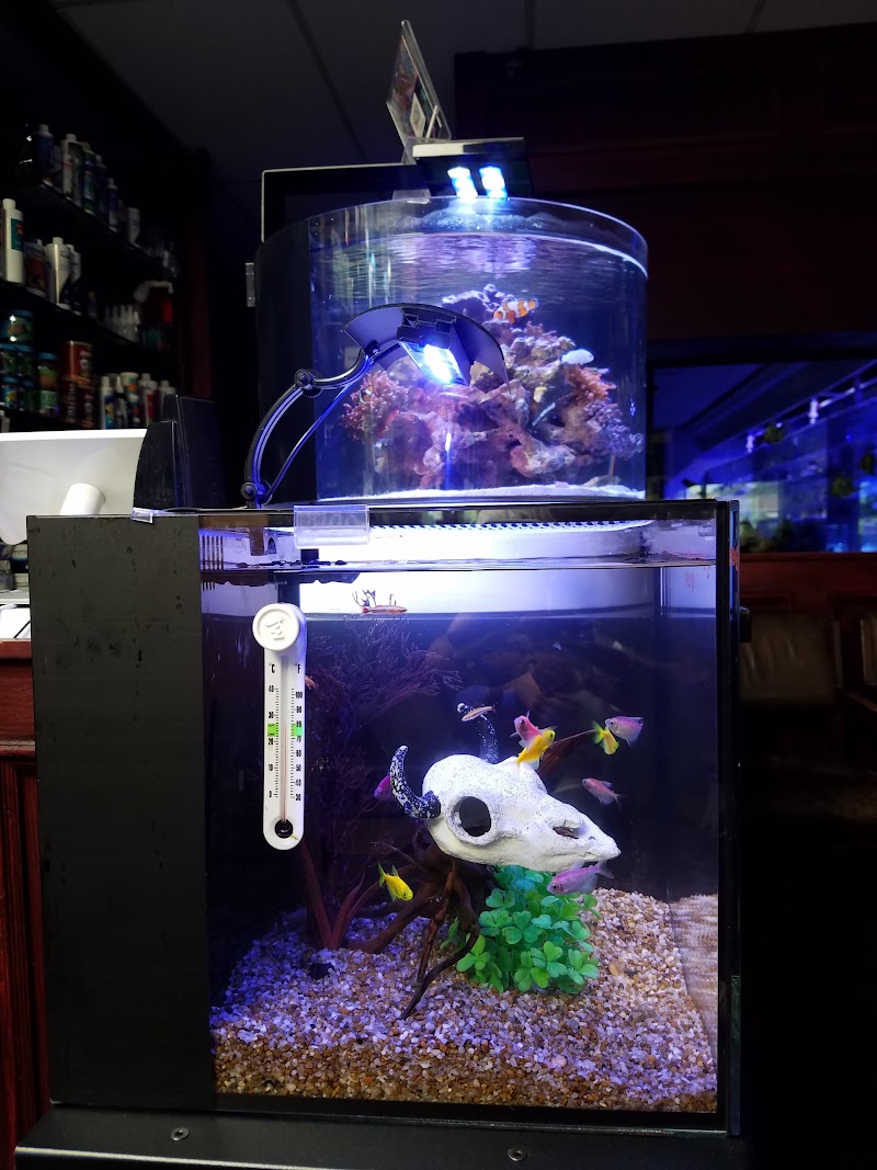 Sho Tank Aquariums - Photo 5