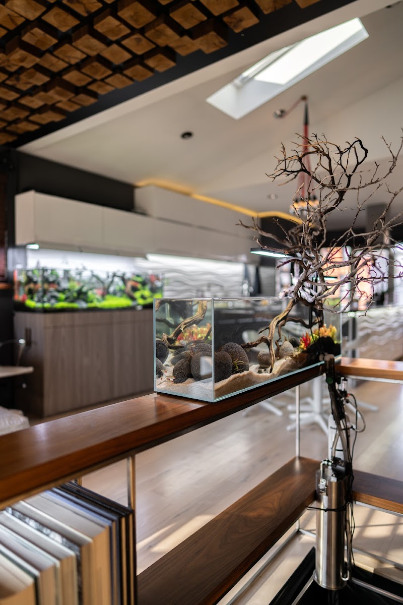 Ocean Design Aquarium - Photo 3