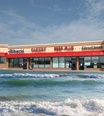 Reef Plus - Photo 1
