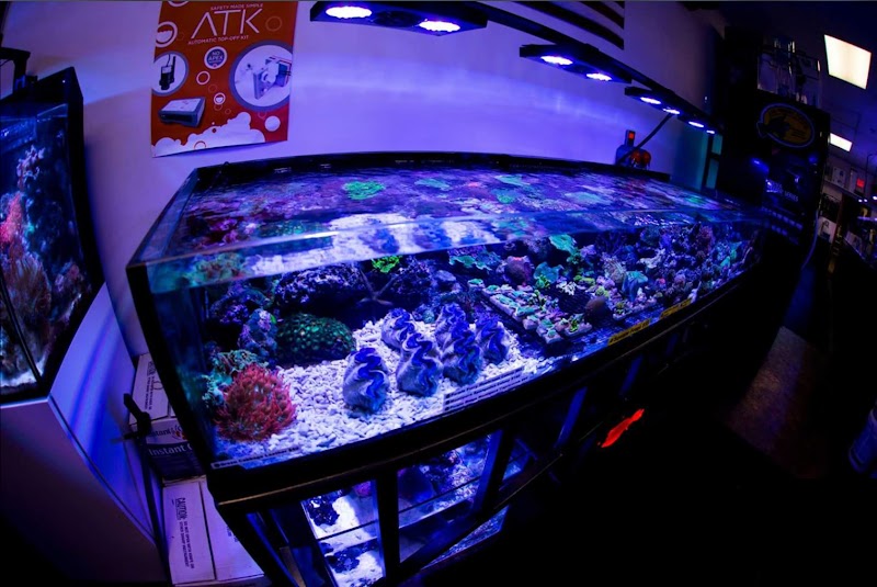 Reef Plus - Photo 2