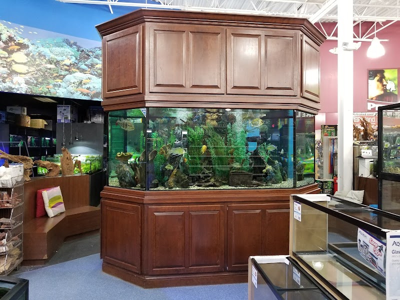 Aquarium Adventure - Photo 1