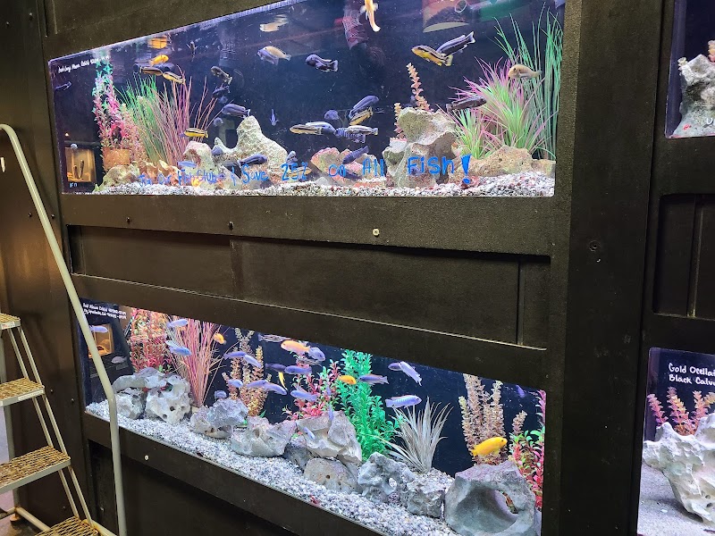 Aquarium Adventure - Photo 3