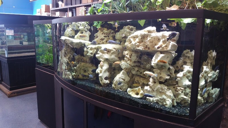 Aquarium Adventure - Photo 4