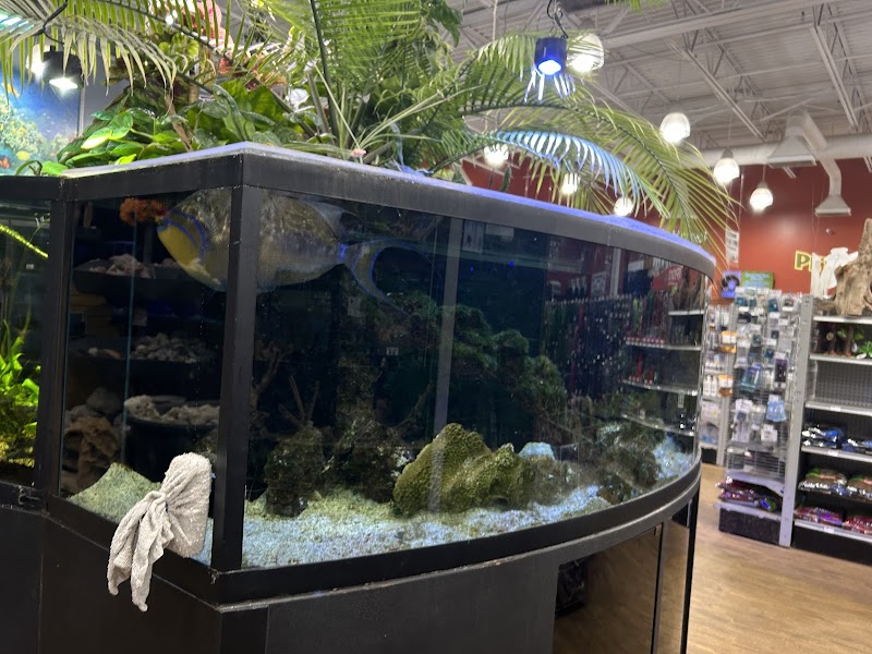 Aquarium Adventure - Photo 5