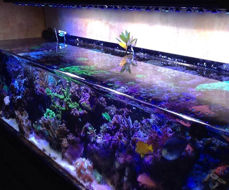 Sea Escapes Inc - Photo 2