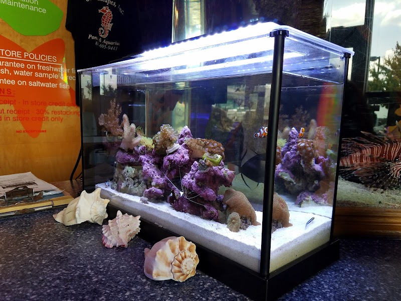 Sea Escapes Inc - Photo 4