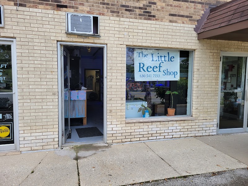The Little Reef Shop - Photo 1