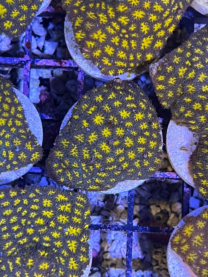 The Little Reef Shop - Photo 3