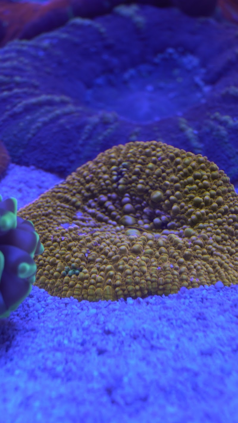 Reefwise - Photo 4