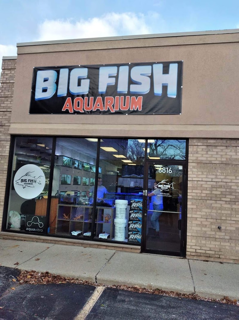 Big Fish Aquarium - Photo 1