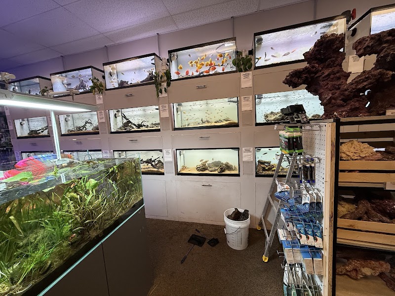 Big Fish Aquarium - Photo 2