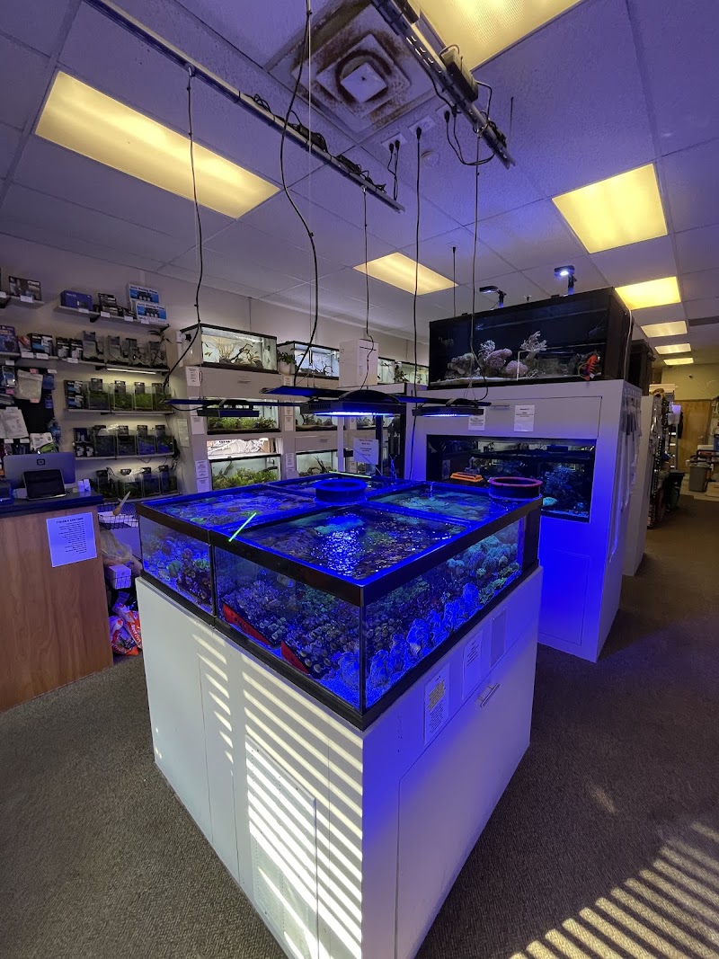 Big Fish Aquarium - Photo 4