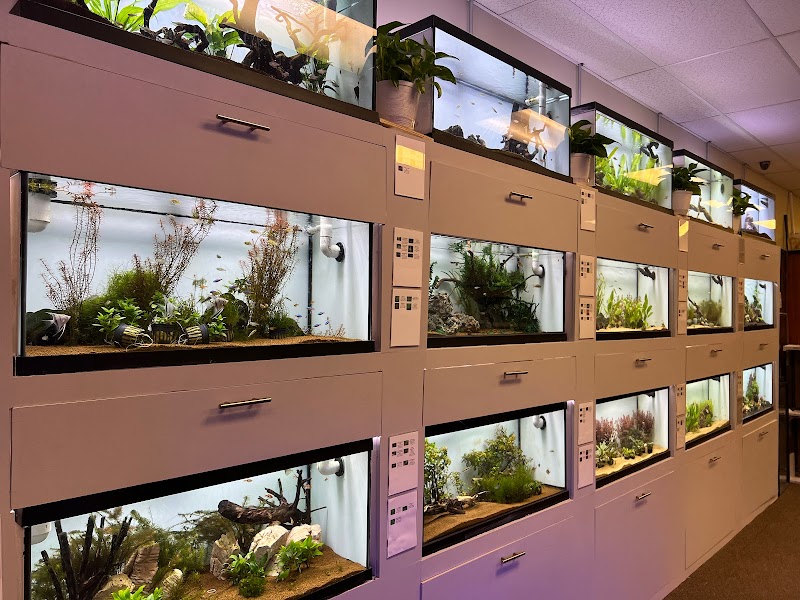 Big Fish Aquarium - Photo 5