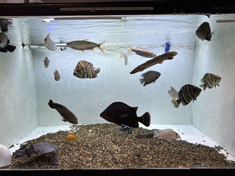 J4 AQUATICS - Photo 3