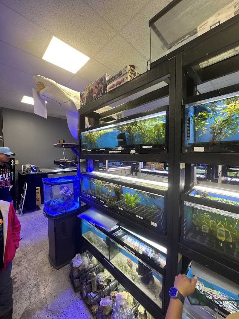 J4 AQUATICS - Photo 5